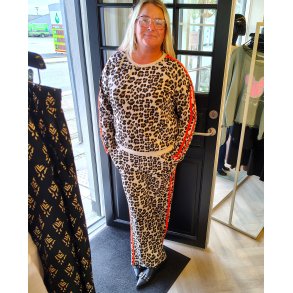 Leo st - orange strib